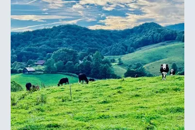 Tbd Flatwoods Road, Creston, NC 28615 - Photo 25