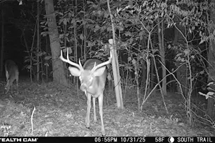 377 Concrete Works Rd, Winston-Salem, NC 27107 - Photo 43