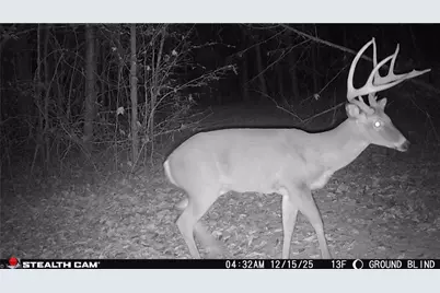 377 Concrete Works Road, Winston-Salem, NC 27107 - Photo 41