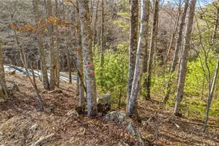 Tbd River Stone Dr, Laurel Springs, NC 28644 - Photo 1