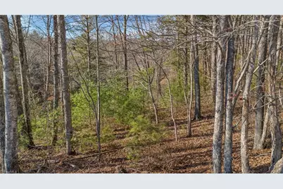 Tbd River Stone Drive, Laurel Springs, NC 28644 - Photo 5