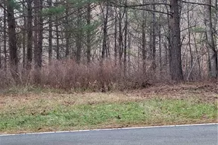 1671 Bowen Rd, Pinnacle, NC 27043 - Photo 1