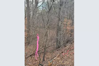 1671 Bowen Road, Pinnacle, NC 27043 - Photo 13