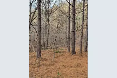 1671 Bowen Road, Pinnacle, NC 27043 - Photo 15