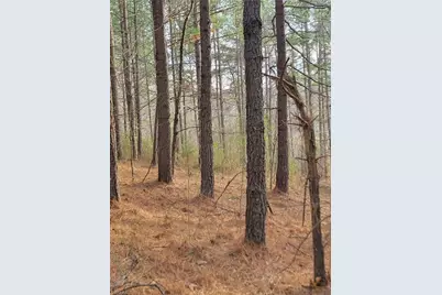 1671 Bowen Road, Pinnacle, NC 27043 - Photo 11