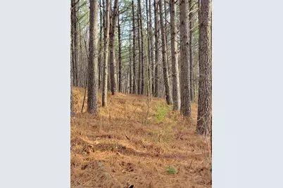 1671 Bowen Road, Pinnacle, NC 27043 - Photo 7