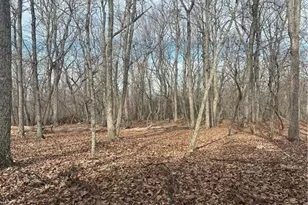 1527 Sierra Trace Rd, Denton, NC 27239 - Photo 1