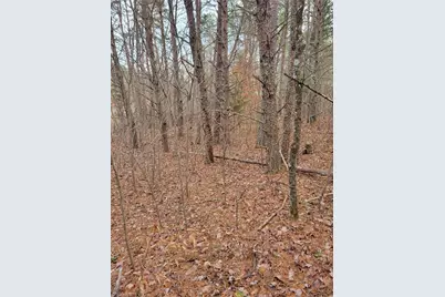 1788 Bowen Road, Pinnacle, NC 27043 - Photo 5