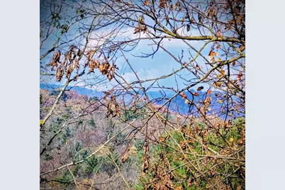 1463 Dragway Road, Wilkesboro, NC 28697 - Photo 29