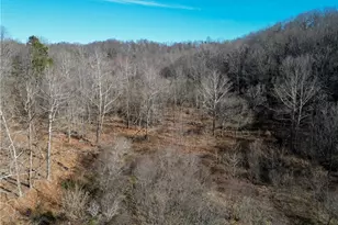 203 Brannock Ln, Pilot Mountain, NC 27041 - Photo 19