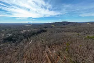 203 Brannock Ln, Pilot Mountain, NC 27041 - Photo 21