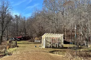 203 Brannock Ln, Pilot Mountain, NC 27041 - Photo 23