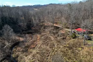 203 Brannock Ln, Pilot Mountain, NC 27041 - Photo 15