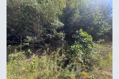 00 Parsonsville Road, Purlear, NC 28665 - Photo 3