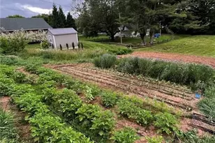 53 Wagoner St, Sparta, NC 28675 - Photo 25