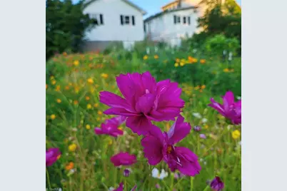 53 Wagoner Street, Sparta, NC 28675 - Photo 21