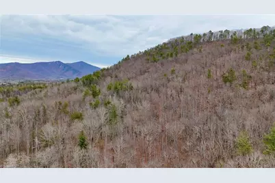 000 Big Rock Lane, Lowgap, NC 27024 - Photo 5