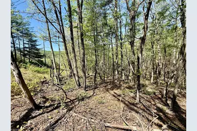 000 Big Rock Lane, Lowgap, NC 27024 - Photo 3