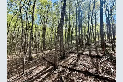 000 Big Rock Lane, Lowgap, NC 27024 - Photo 15