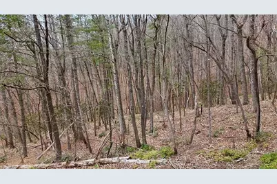 000 Big Rock Lane, Lowgap, NC 27024 - Photo 29