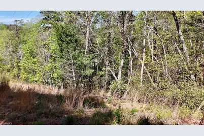 000 Big Rock Lane, Lowgap, NC 27024 - Photo 19