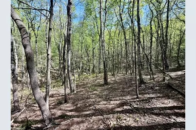 000 Big Rock Lane, Lowgap, NC 27024 - Photo 9