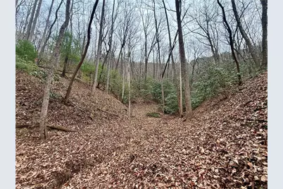 000 Big Rock Lane, Lowgap, NC 27024 - Photo 33