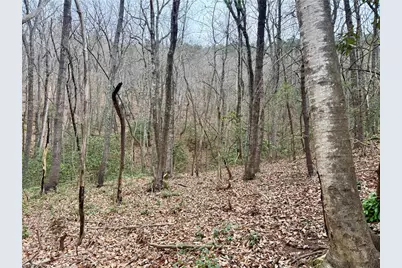 000 Big Rock Lane, Lowgap, NC 27024 - Photo 25