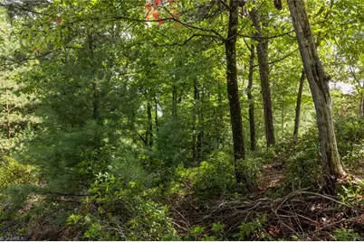 Lot 158 Carriage House Trail, McGrady, NC 28649 - Photo 5
