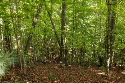 Lot 158 Carriage House Trail, McGrady, NC 28649 - Photo 3
