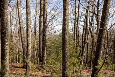 Tbd Fox Squirrel Circle, McGrady, NC 28649 - Photo 3