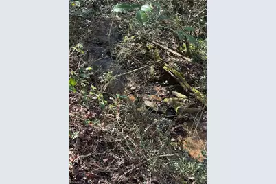 002 Rock Creek Ch Road, North Wilkesboro, NC 28659 - Photo 17