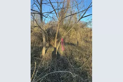 002 Rock Creek Ch Road, North Wilkesboro, NC 28659 - Photo 11