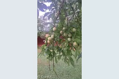 3391 Asbury Road, Mount Airy, NC 27030 - Photo 33