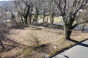 49 Ac Linville Rd, Mount Airy, NC 27030 - Photo 1