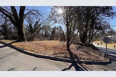 .49 Ac Linville Road, Mount Airy, NC 27030 - Photo 7