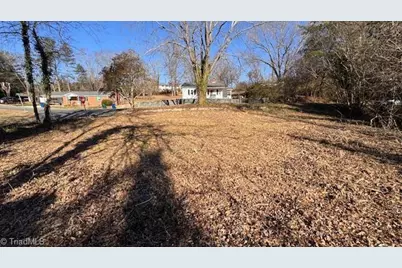 .49 Ac Linville Road, Mount Airy, NC 27030 - Photo 5