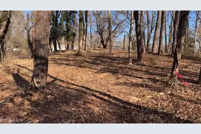 .59 Ac Linville Road, Mount Airy, NC 27030 - Photo 11