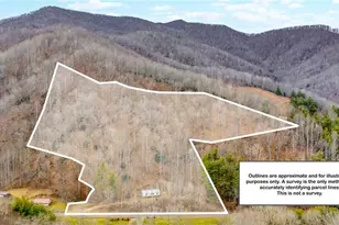 3303 Old Hwy 16, Jefferson, NC 28640 - Photo 1