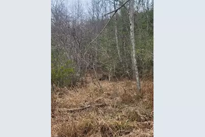 0 Browntown Road, Millers Creek, NC 28651 - Photo 11