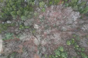 0 Browntown Rd, Millers Creek, NC 28651 - Photo 1