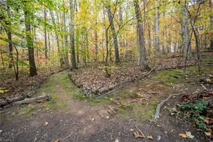 176 Forest Meadow Ln, Clemmons, NC 27012 - Photo 37