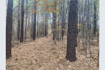 265 Fuller Mill Road N, Trinity, NC 27370 - Photo 41