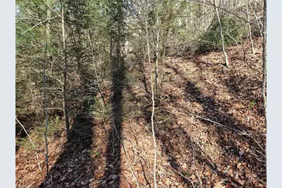 339 Stillhouse Branch Road, Laurel Springs, NC 28644 - Photo 47