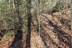 339 Stillhouse Branch Rd, Laurel Springs, NC 28644 - Photo 47