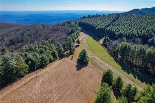 339 Stillhouse Branch Rd, Laurel Springs, NC 28644 - Photo 43