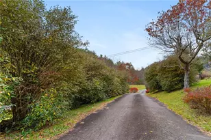 339 Stillhouse Branch Rd, Laurel Springs, NC 28644 - Photo 13