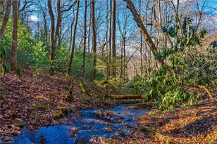 339 Stillhouse Branch Rd, Laurel Springs, NC 28644 - Photo 17