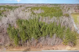 7284 Nc Hwy 49, Mebane, NC 27302 - Photo 5