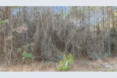 16034 Nc Highway 24 27, Eagle Springs, NC 27242 - Photo 19